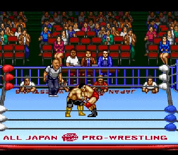 Zen-Nihon Pro Wres 2 - 3-4 Budoukan (Japan) screen shot game playing